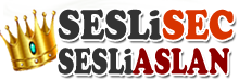 SesliSec.Com - Sesli Site,Sesli Siteler,Sesli Siteleri,Sesli Chat,Sesli Sohbet,Sesli Sitesi.Sesli Siteler,Sesli Siteleri.